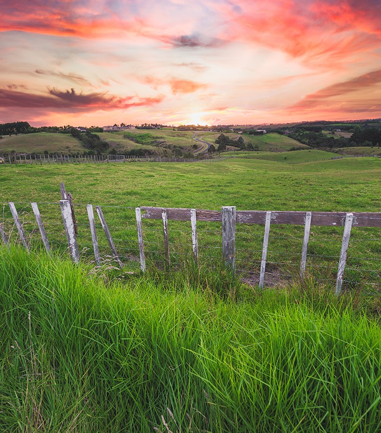 Can highly recommend Ben Wilson Funeral Home, a new home in Tuakau with lots of experience.