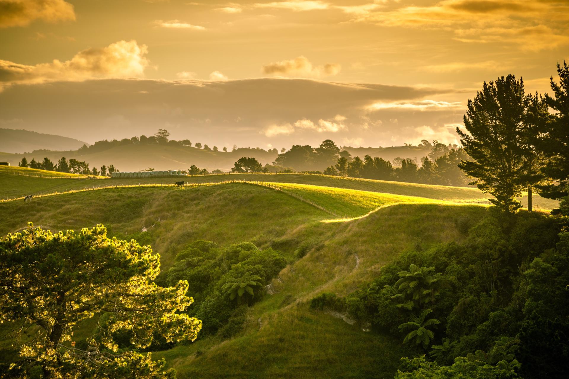 adobestock279184580newzealandlandscapesunset.jpeg